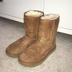 Classic Chestnut Ugg Boots